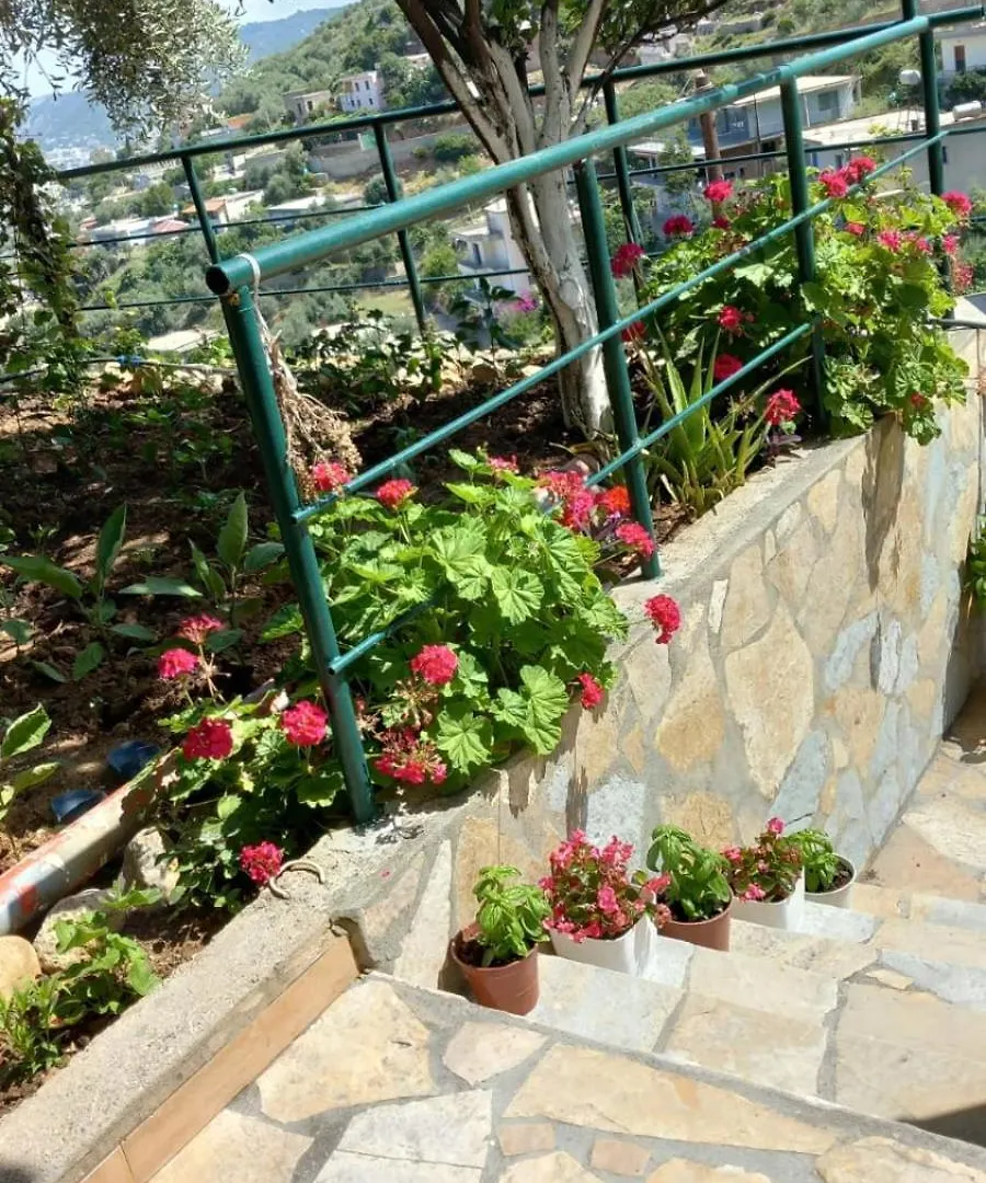 Mesaiz Apartment Vlore 0*,
